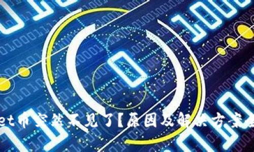 TPWallet币突然不见了？原因及解决方案全面解析